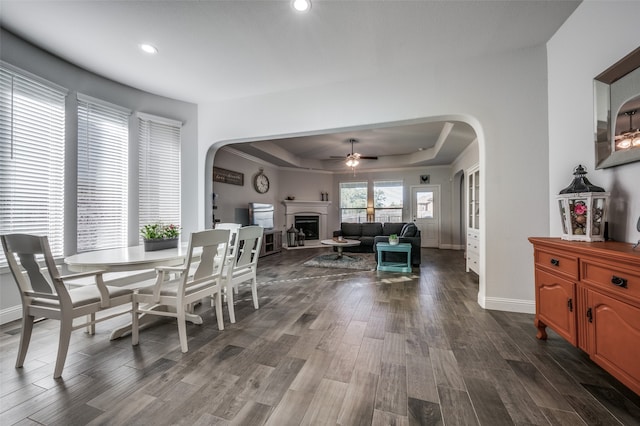 dining room featuring dark hardwood / wood-style floors, ceiling fan, and a tray ceiling