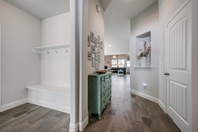 hallway featuring dark hardwood / wood-style flooring