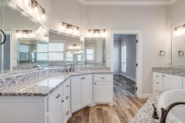 bathroom with hardwood / wood-style flooring, vanity, and ornamental molding