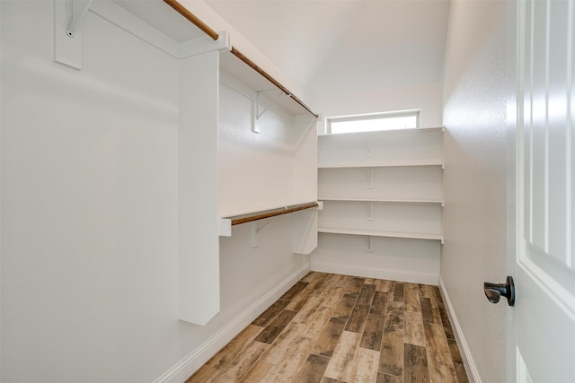 spacious closet featuring wood-type flooring