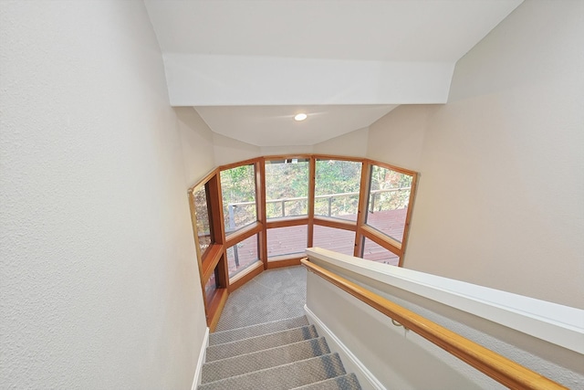 staircase with carpet flooring and vaulted ceiling