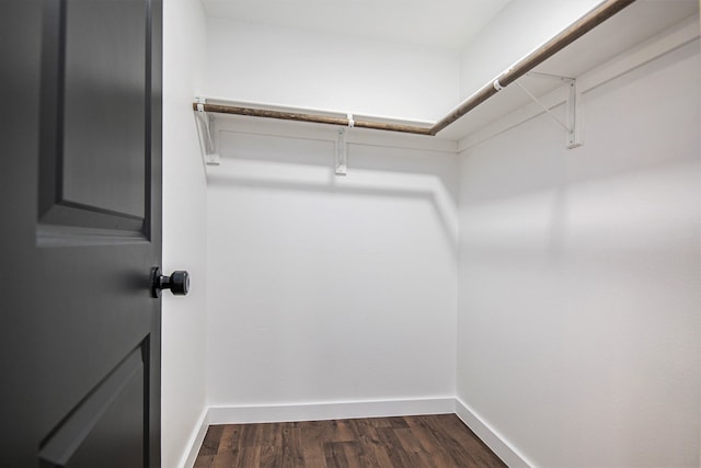 walk in closet featuring dark wood-type flooring