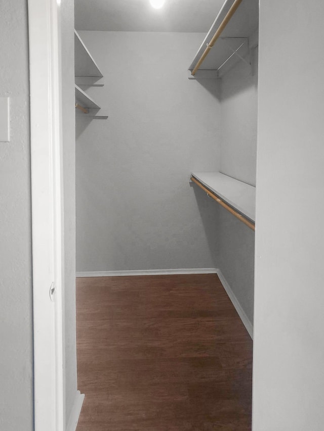 walk in closet featuring dark wood-type flooring