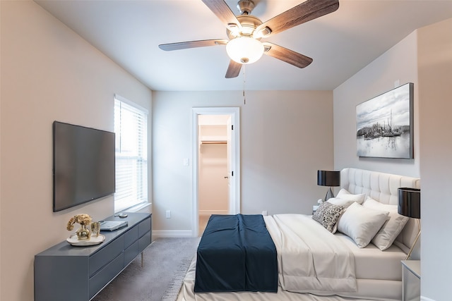 carpeted bedroom featuring ceiling fan, a closet, and a walk in closet