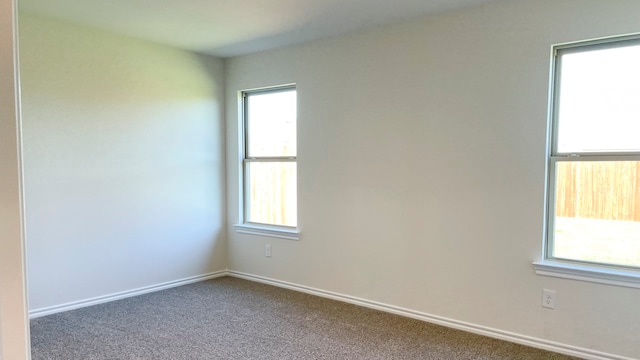 unfurnished room with carpet flooring and a wealth of natural light