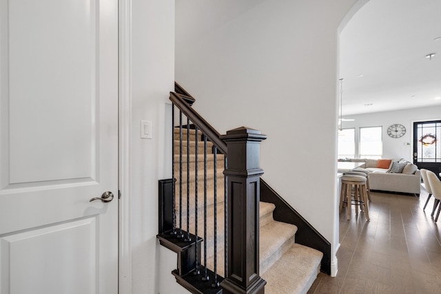 stairs with hardwood / wood-style flooring