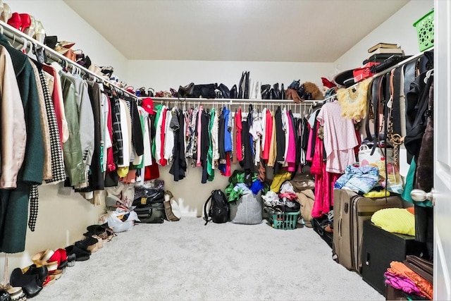 spacious closet with carpet flooring