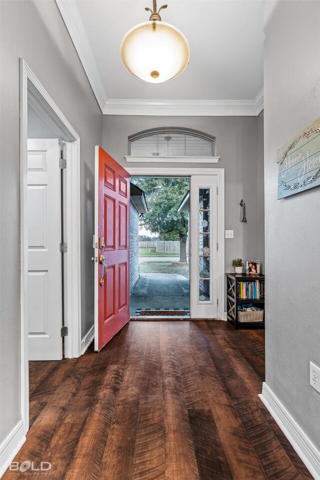 foyer with crown molding and dark hardwood / wood-style floors