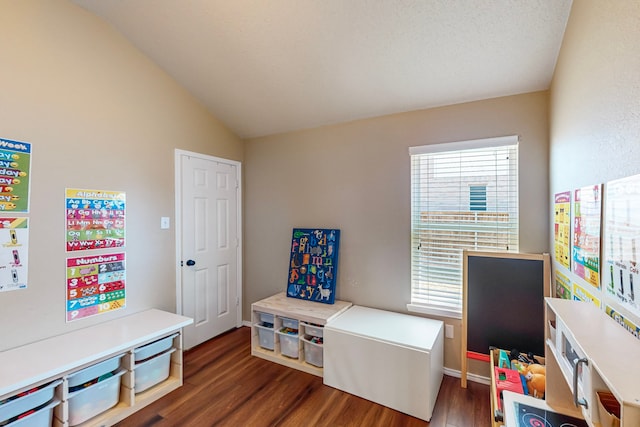 rec room with vaulted ceiling, dark wood-type flooring, and a textured ceiling