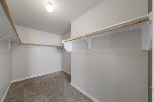 spacious closet with carpet flooring and vaulted ceiling