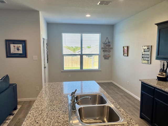 kitchen with light stone countertops, dark wood-type flooring, and sink