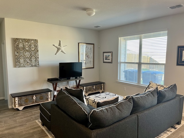 living room featuring hardwood / wood-style floors