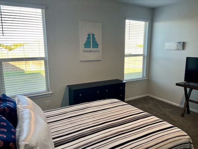 view of carpeted bedroom