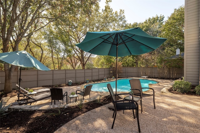 view of swimming pool with a patio area and a diving board