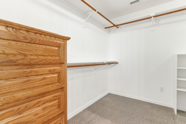 spacious closet with carpet