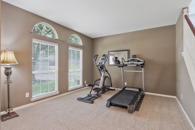 exercise area featuring carpet