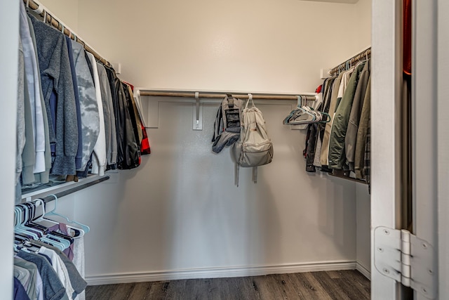 walk in closet featuring dark hardwood / wood-style flooring