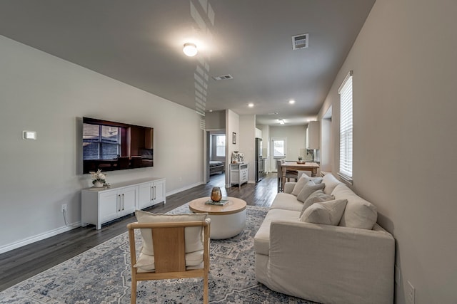 living room with dark hardwood / wood-style floors and a wealth of natural light