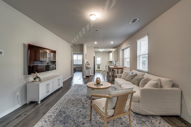 living room with dark hardwood / wood-style floors and sink