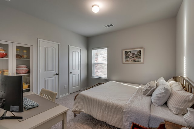 carpeted bedroom with two closets