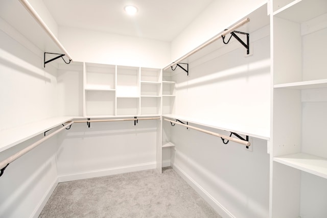 walk in closet with light colored carpet