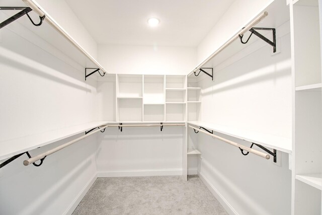 spacious closet with light carpet