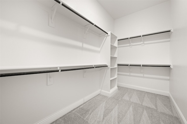 walk in closet with carpet flooring