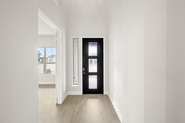 entrance foyer with baseboards and wood finished floors