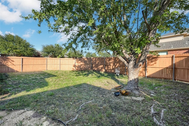 view of yard