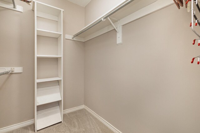 spacious closet with light colored carpet