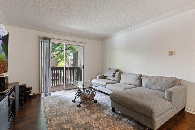 living room featuring ornamental molding, dark wood-type flooring, and a textured ceiling