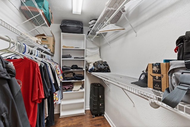 walk in closet featuring dark hardwood / wood-style flooring