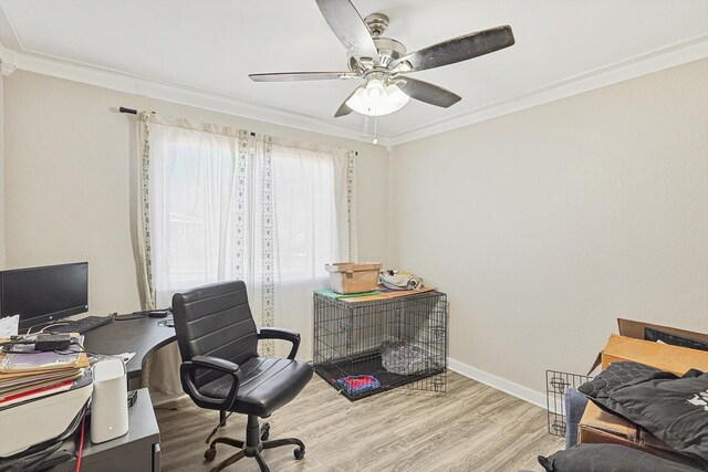 home office featuring ceiling fan, light wood-type flooring, and ornamental molding