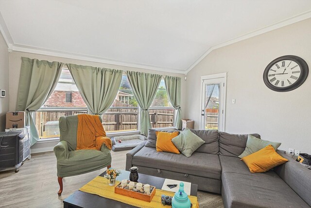 living room featuring ornamental molding, light hardwood / wood-style flooring, and lofted ceiling