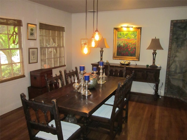 dining space featuring dark hardwood / wood-style floors