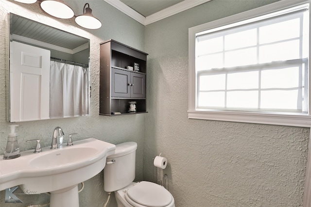 bathroom with toilet, ornamental molding, and sink