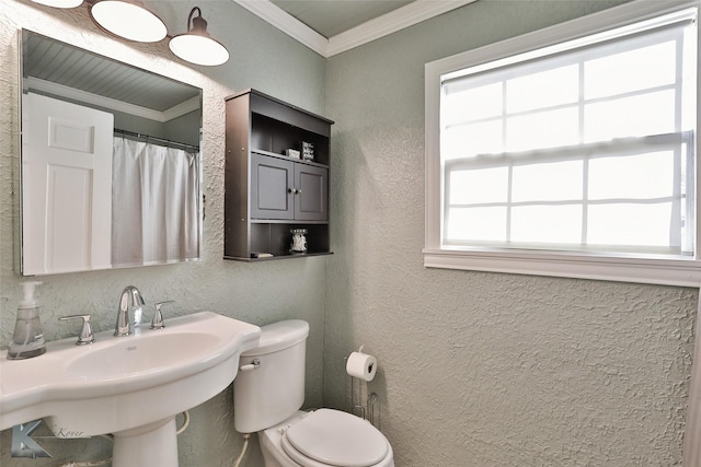 bathroom with ornamental molding, a sink, a textured wall, and toilet