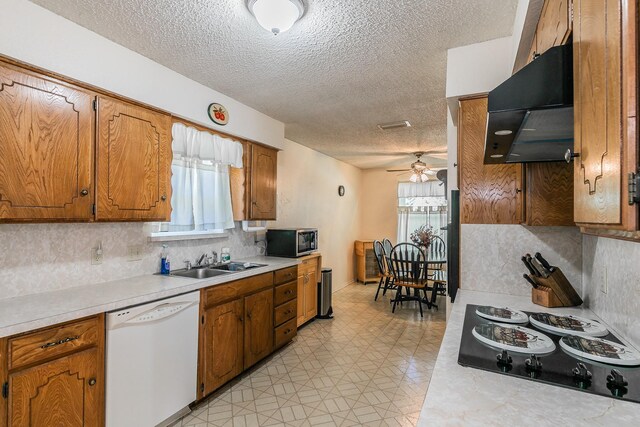 kitchen with black electric cooktop, white dishwasher, extractor fan, and plenty of natural light