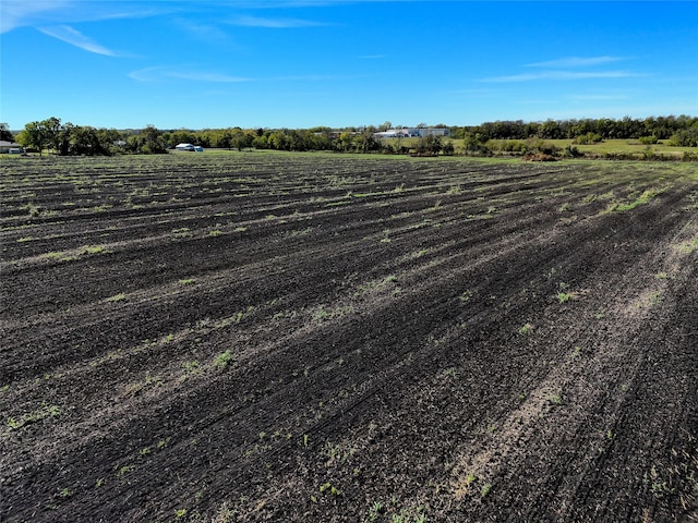 100TBD Fm 198, Enloe TX, 75441 land for sale