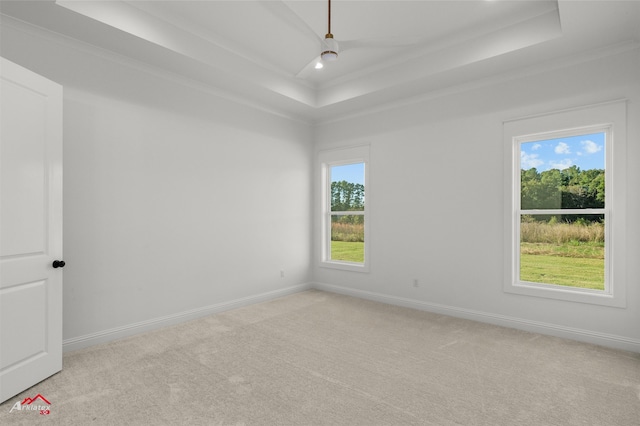 spare room featuring a raised ceiling, ornamental molding, and light carpet