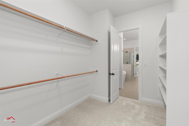 walk in closet featuring light carpet