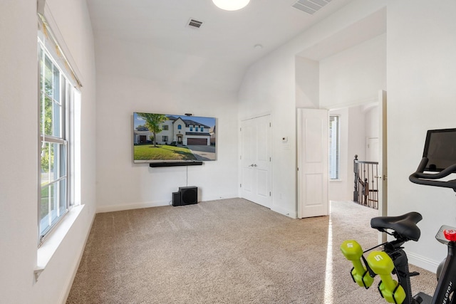 exercise area with carpet floors, a wealth of natural light, and lofted ceiling