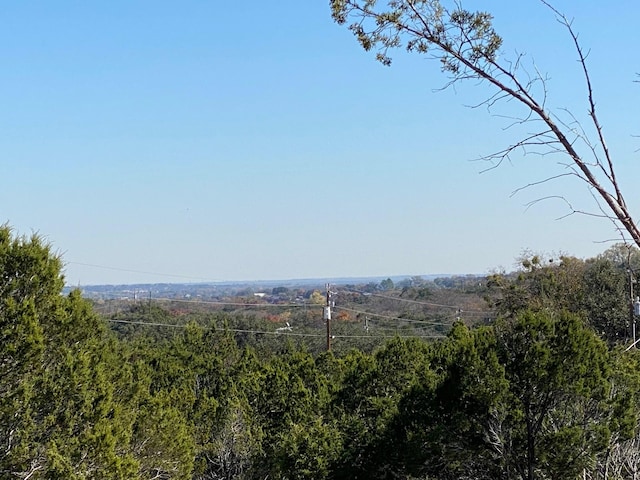 Listing photo 2 for 1305 Woodmere Trl, Granbury TX 76048