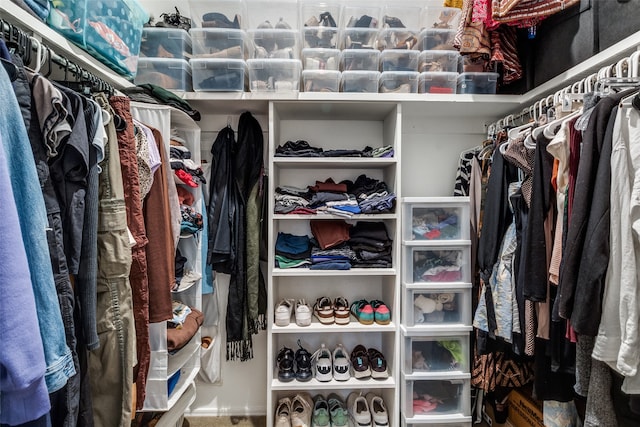 view of walk in closet