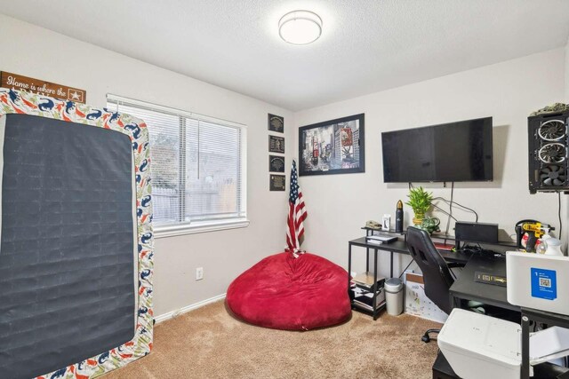 carpeted home office with a textured ceiling