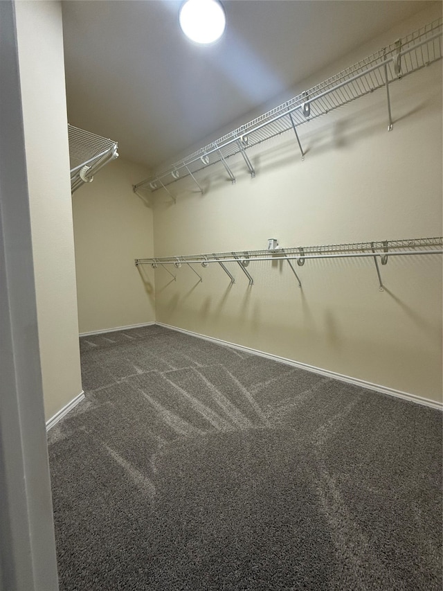 walk in closet with dark carpet