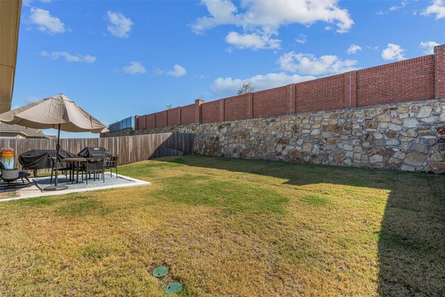 view of yard with a patio