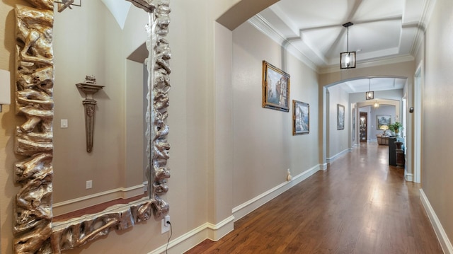 hallway with crown molding and dark hardwood / wood-style floors