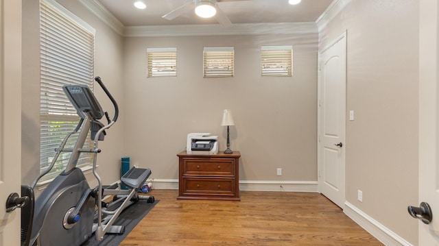 workout area featuring ceiling fan, a healthy amount of sunlight, ornamental molding, and light hardwood / wood-style flooring