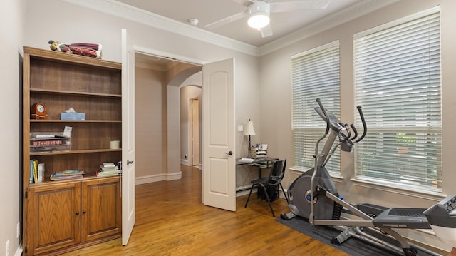 workout area featuring ceiling fan, crown molding, and light hardwood / wood-style flooring